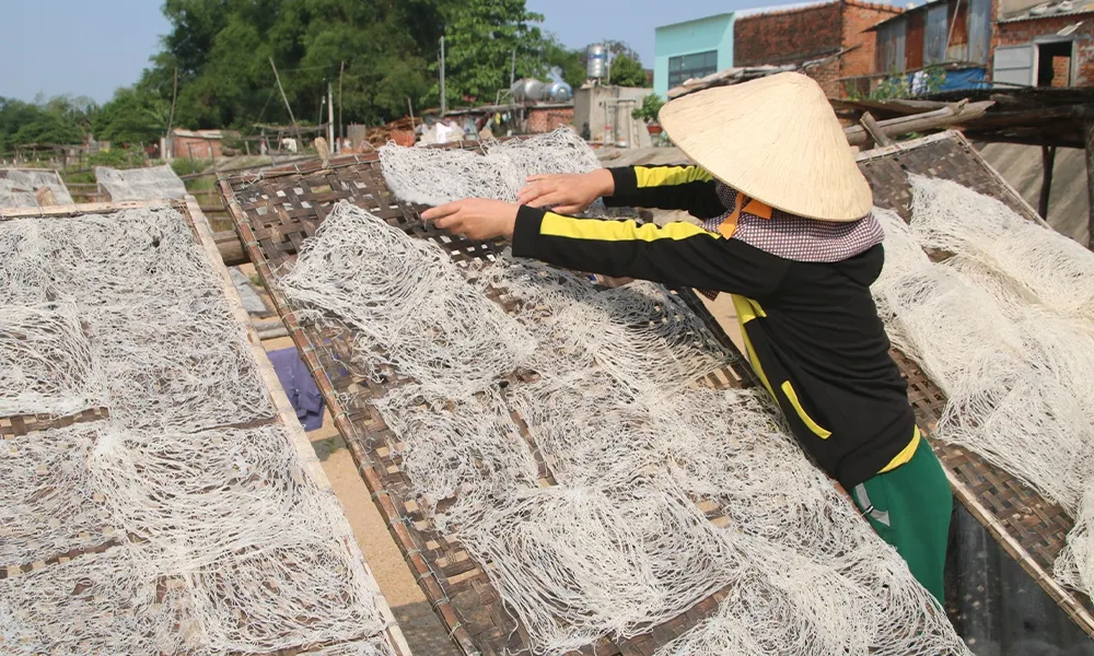 BÚN SONG THẰN BÌNH ĐỊNH