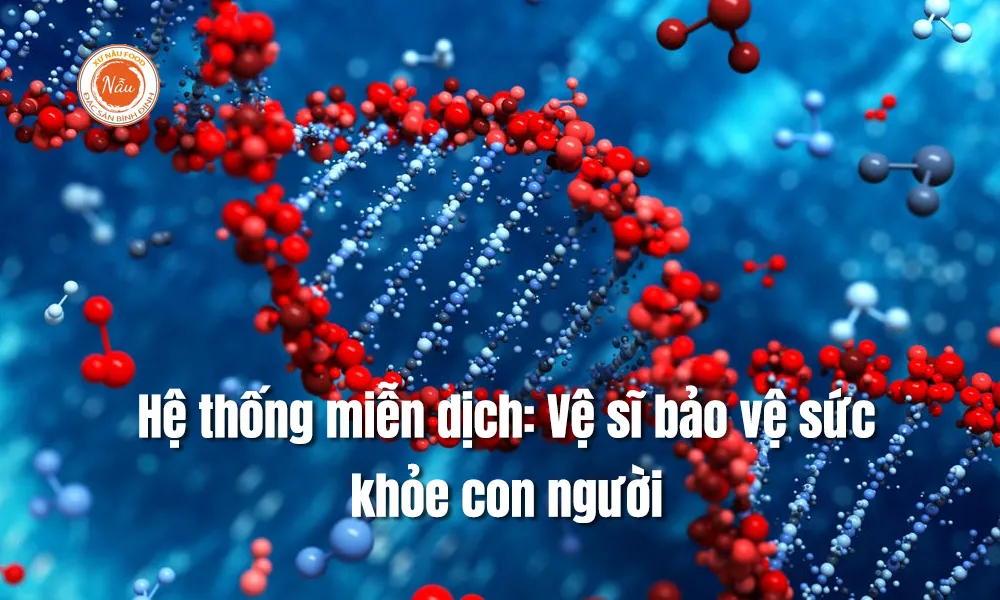 Hệ thống miễn dịch: Vệ sĩ bảo vệ sức khỏe con người