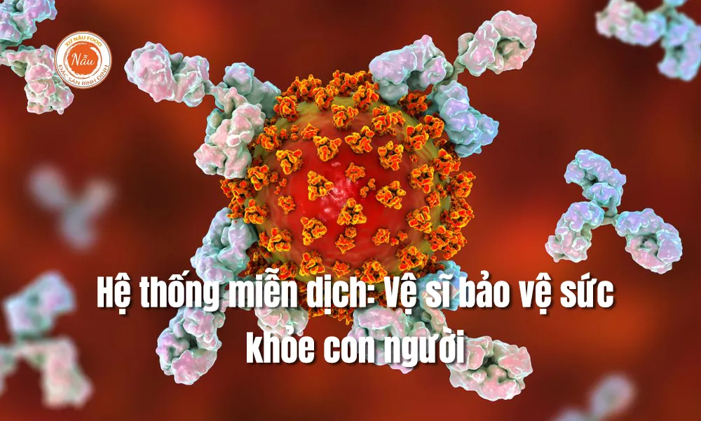 Hệ thống miễn dịch: Vệ sĩ bảo vệ sức khỏe con người